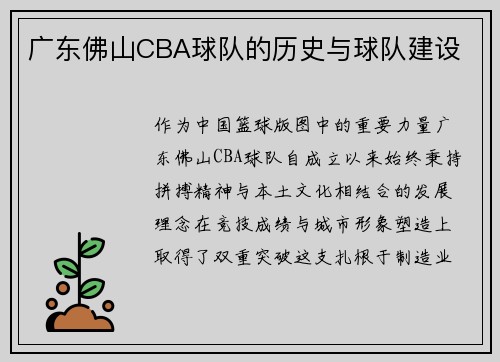 广东佛山CBA球队的历史与球队建设